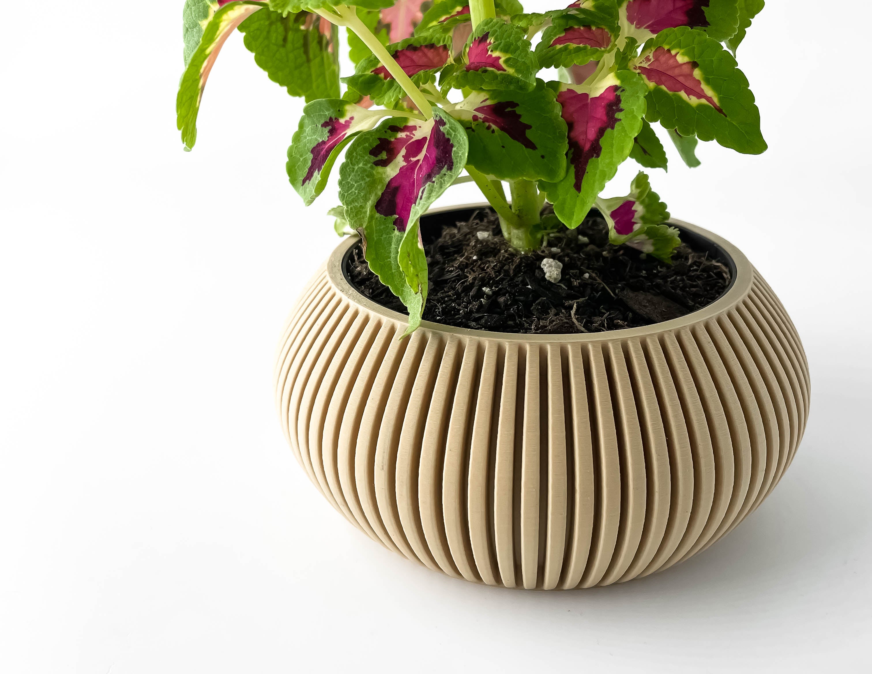 Torme Planter