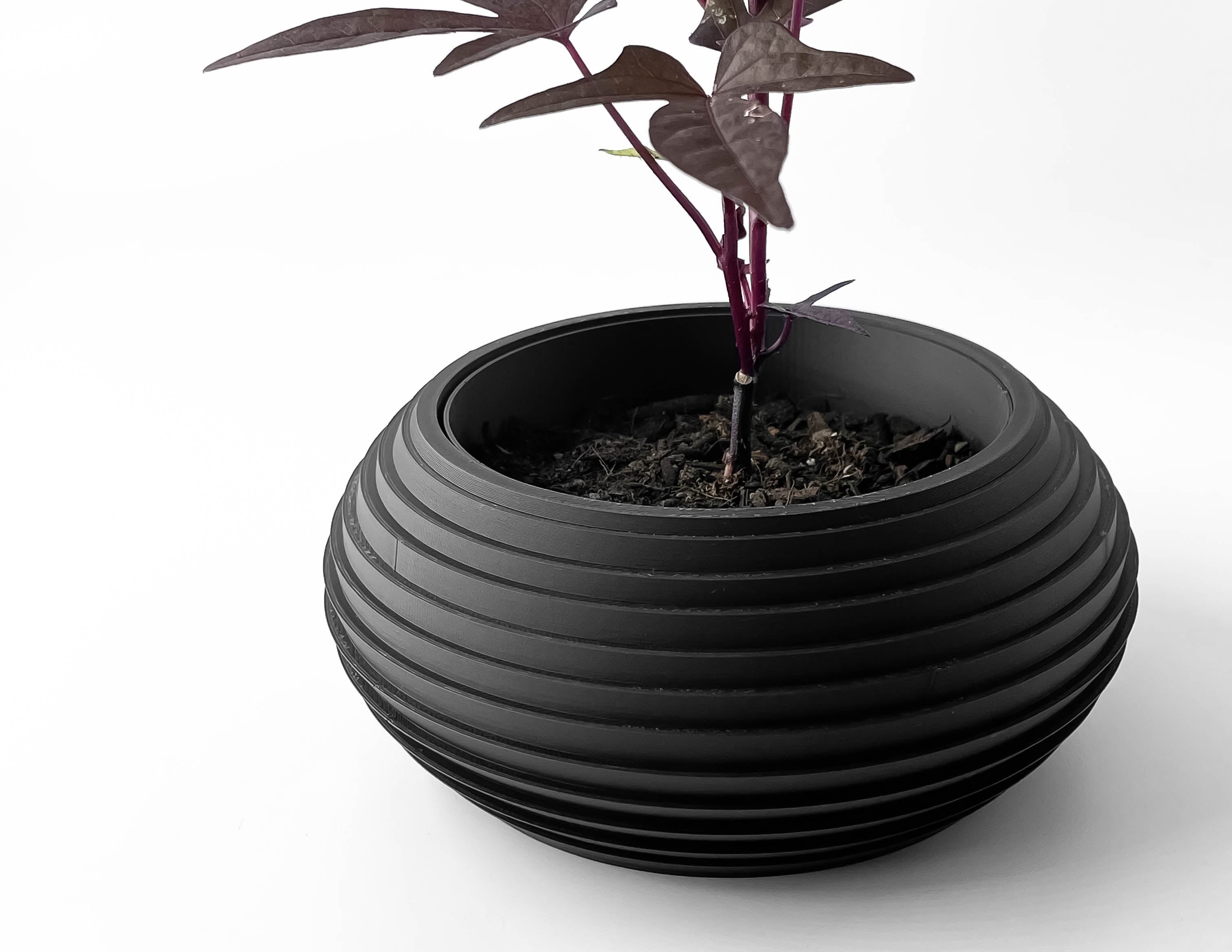 Frons Planter