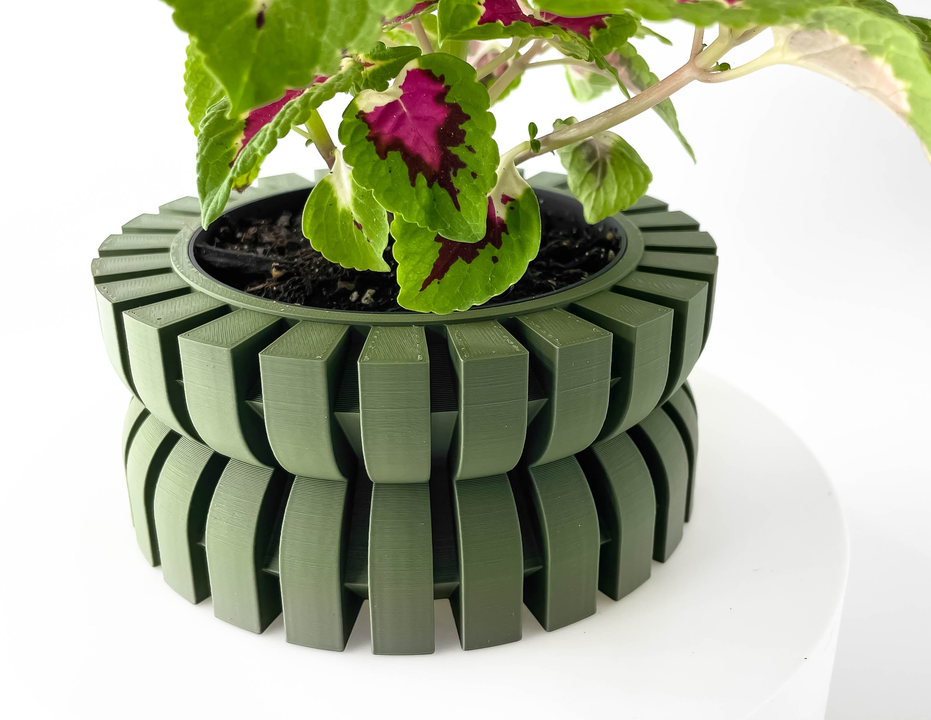 Griva Planter