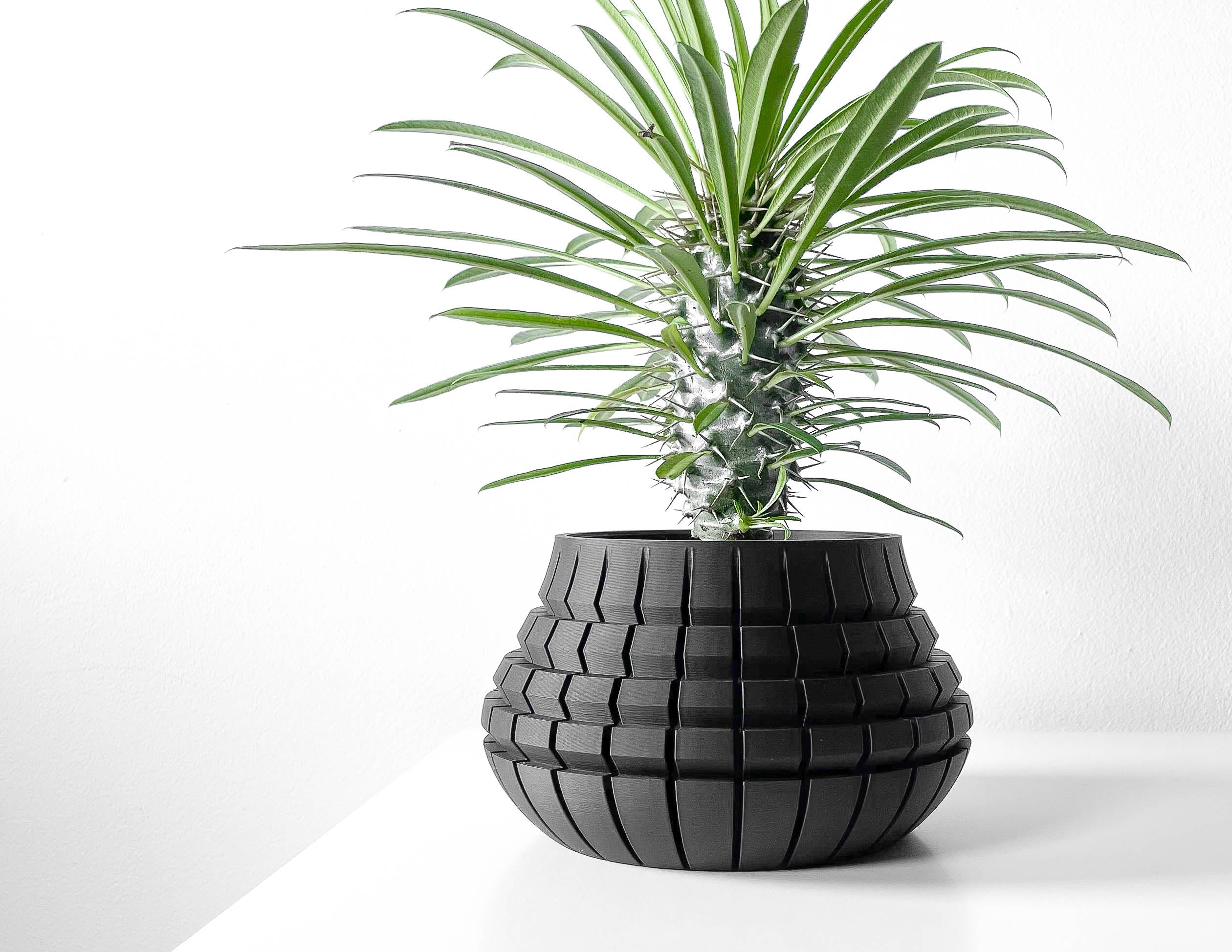 Ivane Planter